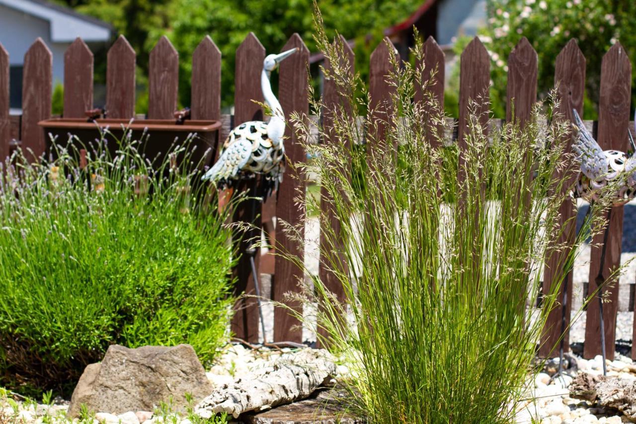 Apartmány Berries Valča Exteriér fotografie